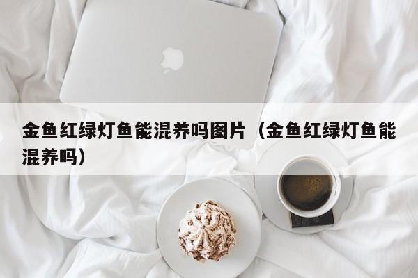 金鱼红绿灯鱼能混养吗图片（金鱼红绿灯鱼能混养吗） 