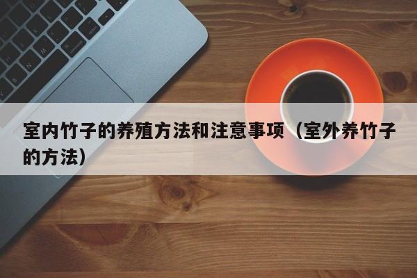 室内竹子的养殖方法和注意事项（室外养竹子的方法） 