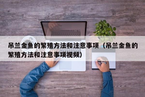 吊兰金鱼的繁殖方法和注意事项（吊兰金鱼的繁殖方法和注意事项视频） 