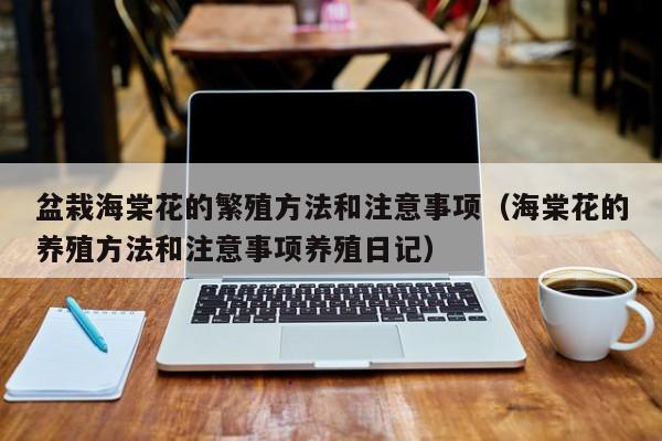 盆栽海棠花的繁殖方法和注意事项（海棠花的养殖方法和注意事项养殖日记） 