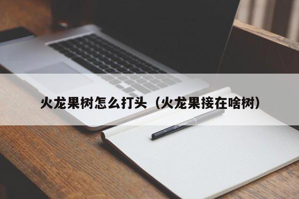 火龙果树怎么打头（火龙果接在啥树） 