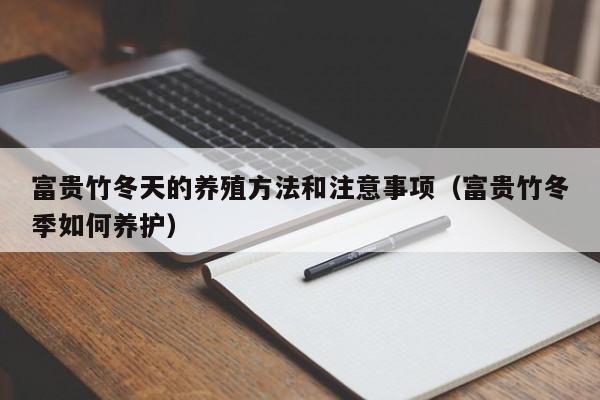 富贵竹冬天的养殖方法和注意事项（富贵竹冬季如何养护） 