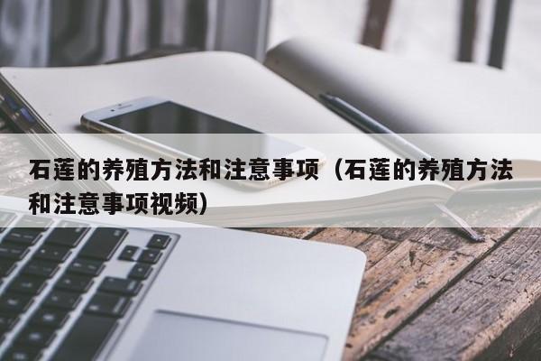 石莲的养殖方法和注意事项（石莲的养殖方法和注意事项视频） 