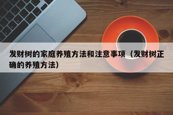 发财树的家庭养殖方法和注意事项（发财树正确的养殖方法） 