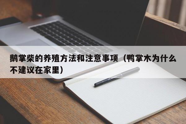 鹅掌柴的养殖方法和注意事项（鸭掌木为什么不建议在家里） 