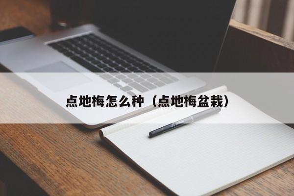 点地梅怎么种（点地梅盆栽） 