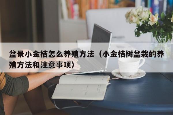 盆景小金桔怎么养殖方法（小金桔树盆栽的养殖方法和注意事项） 