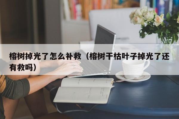 榕树掉光了怎么补救（榕树干枯叶子掉光了还有救吗） 