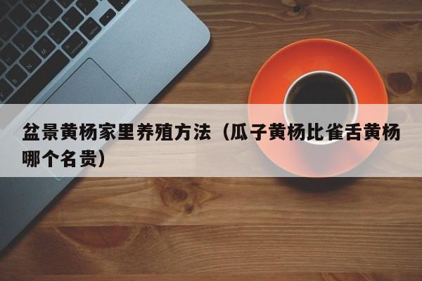 盆景黄杨家里养殖方法（瓜子黄杨比雀舌黄杨哪个名贵） 