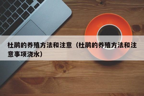 杜鹃的养殖方法和注意（杜鹃的养殖方法和注意事项浇水） 