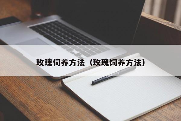 玫瑰伺养方法（玫瑰饲养方法） 