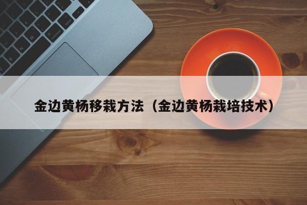 金边黄杨移栽方法（金边黄杨栽培技术） 