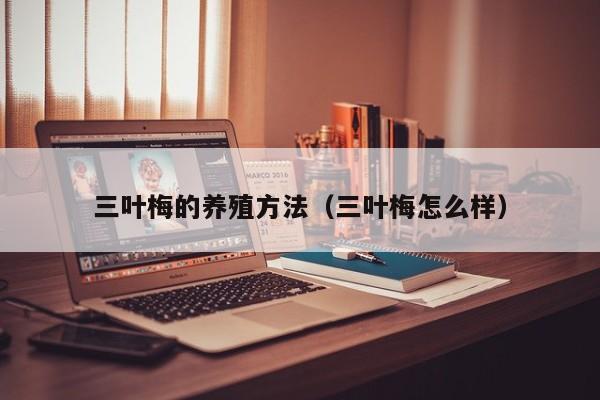 三叶梅的养殖方法（三叶梅怎么样） 