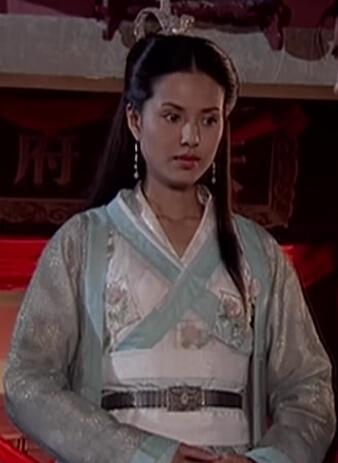 杨门女将昊天塔(杨家将昊天塔)