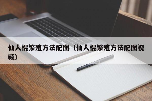 仙人棍繁殖方法配图（仙人棍繁殖方法配图视频） 