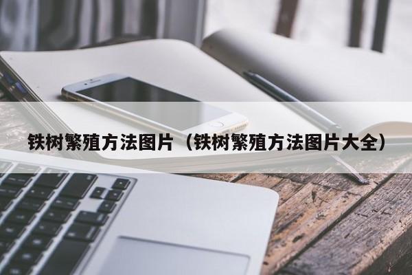 铁树繁殖方法图片（铁树繁殖方法图片大全） 