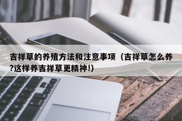 吉祥草的养殖方法和注意事项（吉祥草怎么养?这样养吉祥草更精神!） 