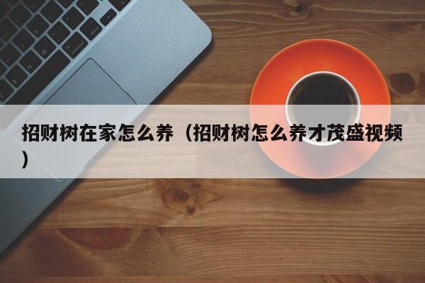 招财树在家怎么养（招财树怎么养才茂盛视频） 