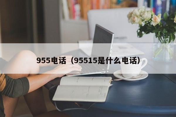 955电话（95515是什么电话） 