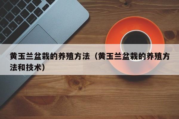 黄玉兰盆栽的养殖方法（黄玉兰盆栽的养殖方法和技术） 