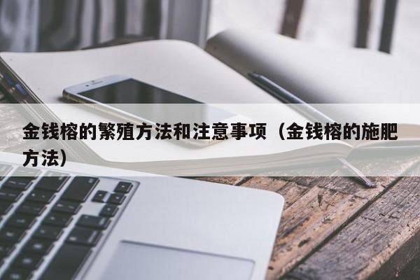 金钱榕的繁殖方法和注意事项（金钱榕的施肥方法） 