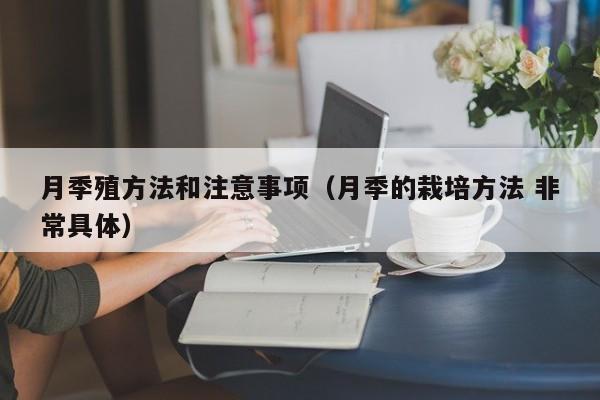 月季殖方法和注意事项（月季的栽培方法 非常具体） 