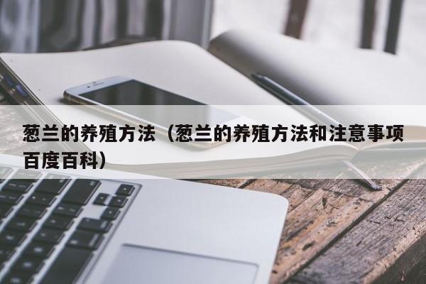 葱兰的养殖方法（葱兰的养殖方法和注意事项百度百科） 