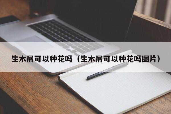 生木屑可以种花吗（生木屑可以种花吗图片） 