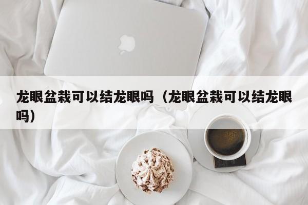 龙眼盆栽可以结龙眼吗（龙眼盆栽可以结龙眼吗） 