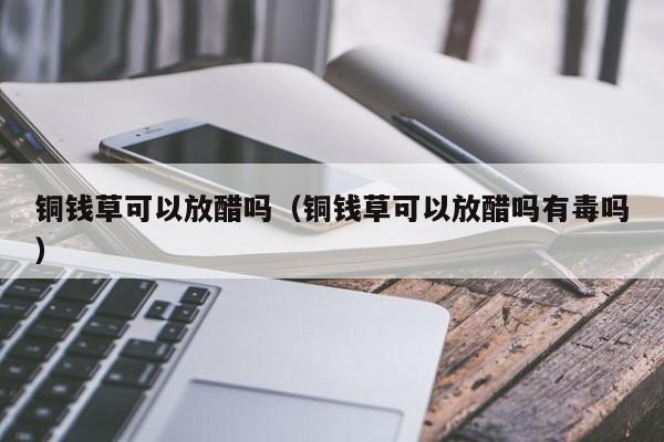 铜钱草可以放醋吗（铜钱草可以放醋吗有毒吗） 