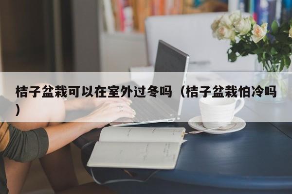 桔子盆栽可以在室外过冬吗（桔子盆栽怕冷吗） 