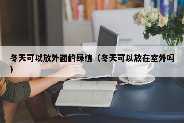 冬天可以放外面的绿植（冬天可以放在室外吗） 