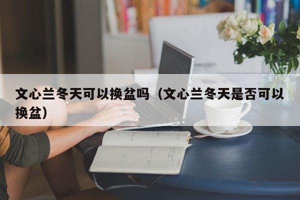 文心兰冬天可以换盆吗（文心兰冬天是否可以换盆） 