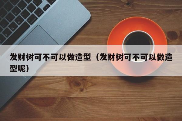 发财树可不可以做造型（发财树可不可以做造型呢） 