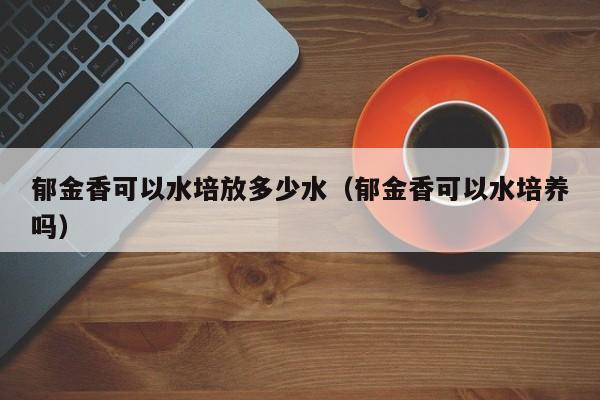 郁金香可以水培放多少水（郁金香可以水培养吗） 