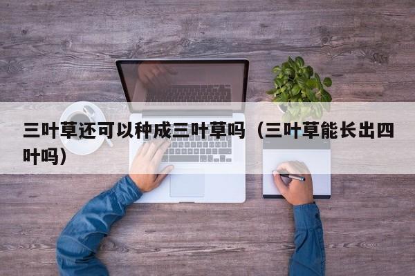 三叶草还可以种成三叶草吗（三叶草能长出四叶吗） 