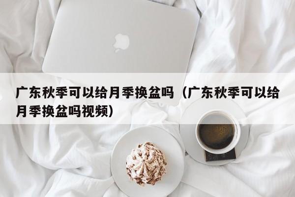 广东秋季可以给月季换盆吗（广东秋季可以给月季换盆吗视频） 