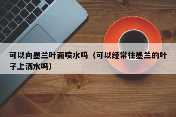 可以向墨兰叶面喷水吗（可以经常往墨兰的叶子上洒水吗） 