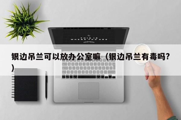 银边吊兰可以放办公室嘛（银边吊兰有毒吗?） 