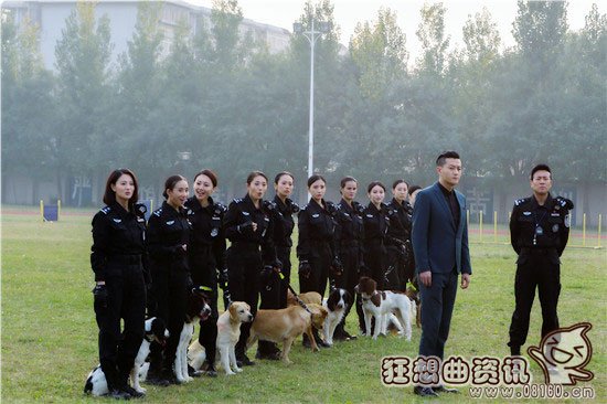 警花与警犬杜飞的狗狗是什么品种的?杜飞扮(杜飞扮演者《警花与警犬》)