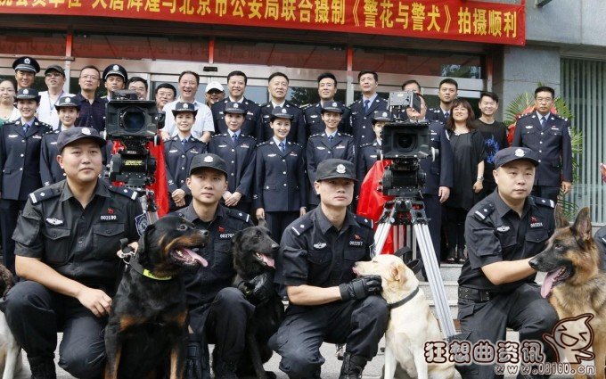 警花与警犬杜飞的狗狗是什么品种的?杜飞扮(杜飞扮演者《警花与警犬》)