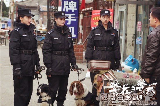 警花与警犬杜飞的狗狗是什么品种的?杜飞扮(杜飞扮演者《警花与警犬》)