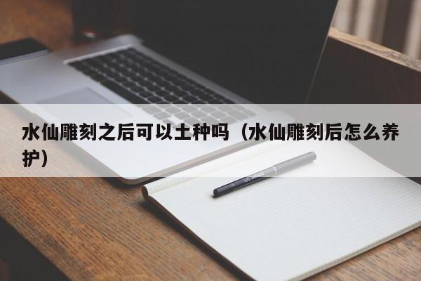 水仙雕刻之后可以土种吗（水仙雕刻后怎么养护） 