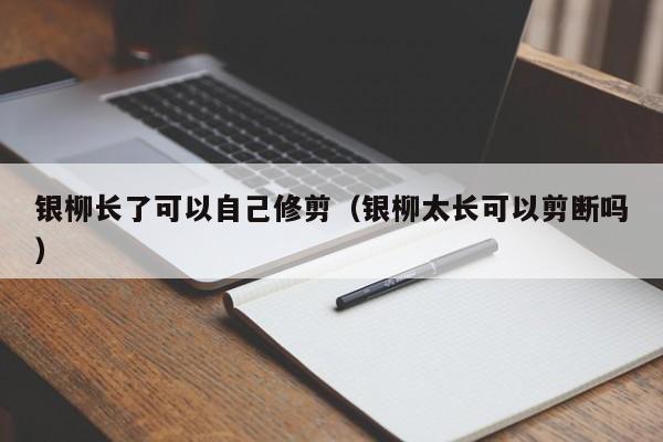 银柳长了可以自己修剪（银柳太长可以剪断吗） 