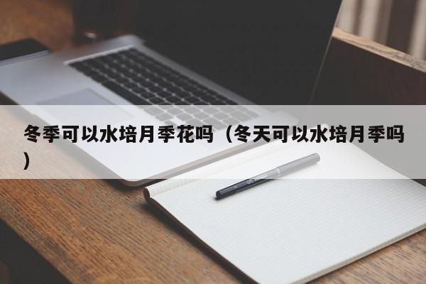 冬季可以水培月季花吗（冬天可以水培月季吗） 