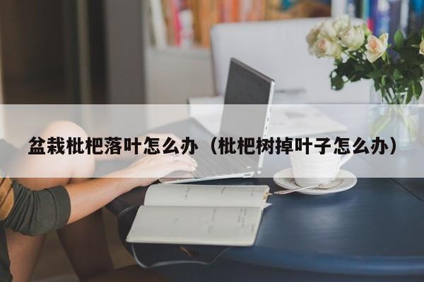 盆栽枇杷落叶怎么办（枇杷树掉叶子怎么办） 