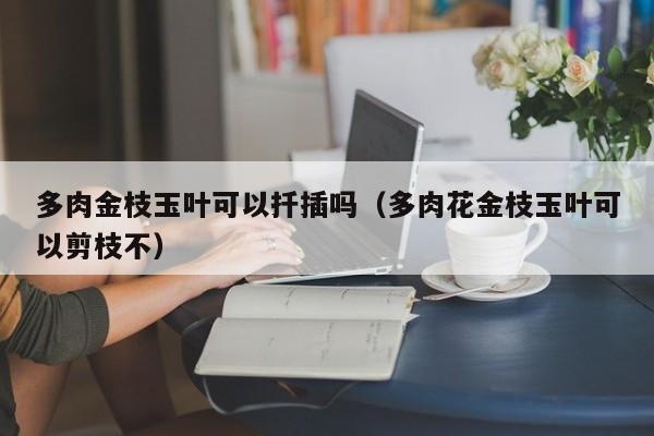 多肉金枝玉叶可以扦插吗（多肉花金枝玉叶可以剪枝不） 