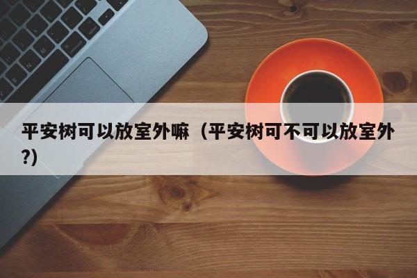 平安树可以放室外嘛（平安树可不可以放室外?） 