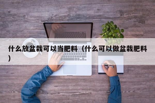 什么放盆栽可以当肥料（什么可以做盆栽肥料） 