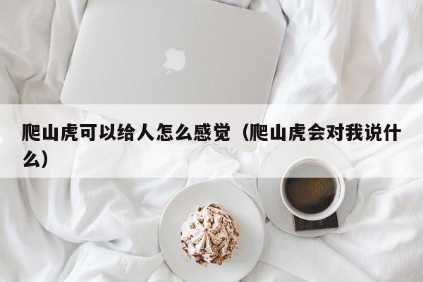 爬山虎可以给人怎么感觉（爬山虎会对我说什么） 